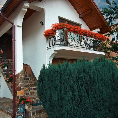Casa Ade Villa Ocna Şugatag Dış mekan fotoğraf