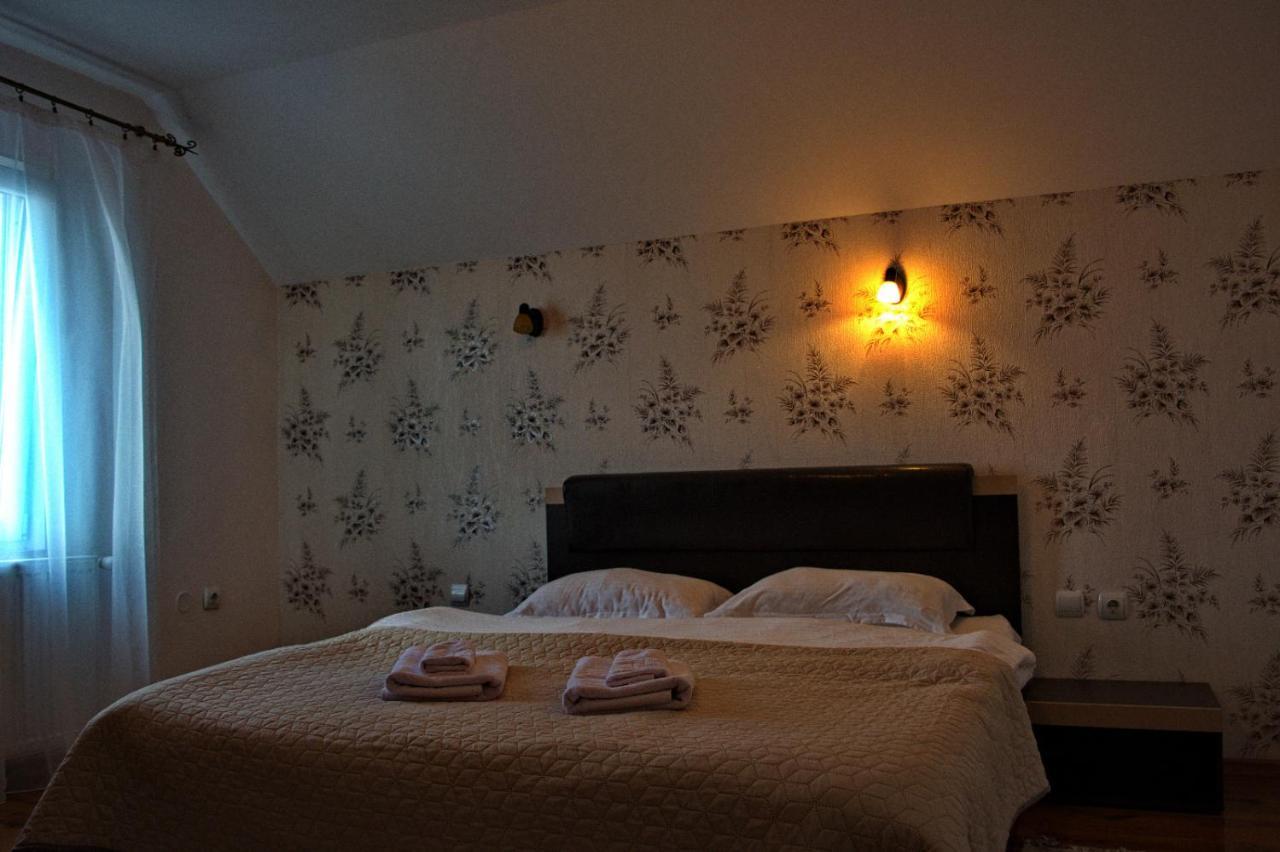 Casa Ade Villa Ocna Şugatag Dış mekan fotoğraf