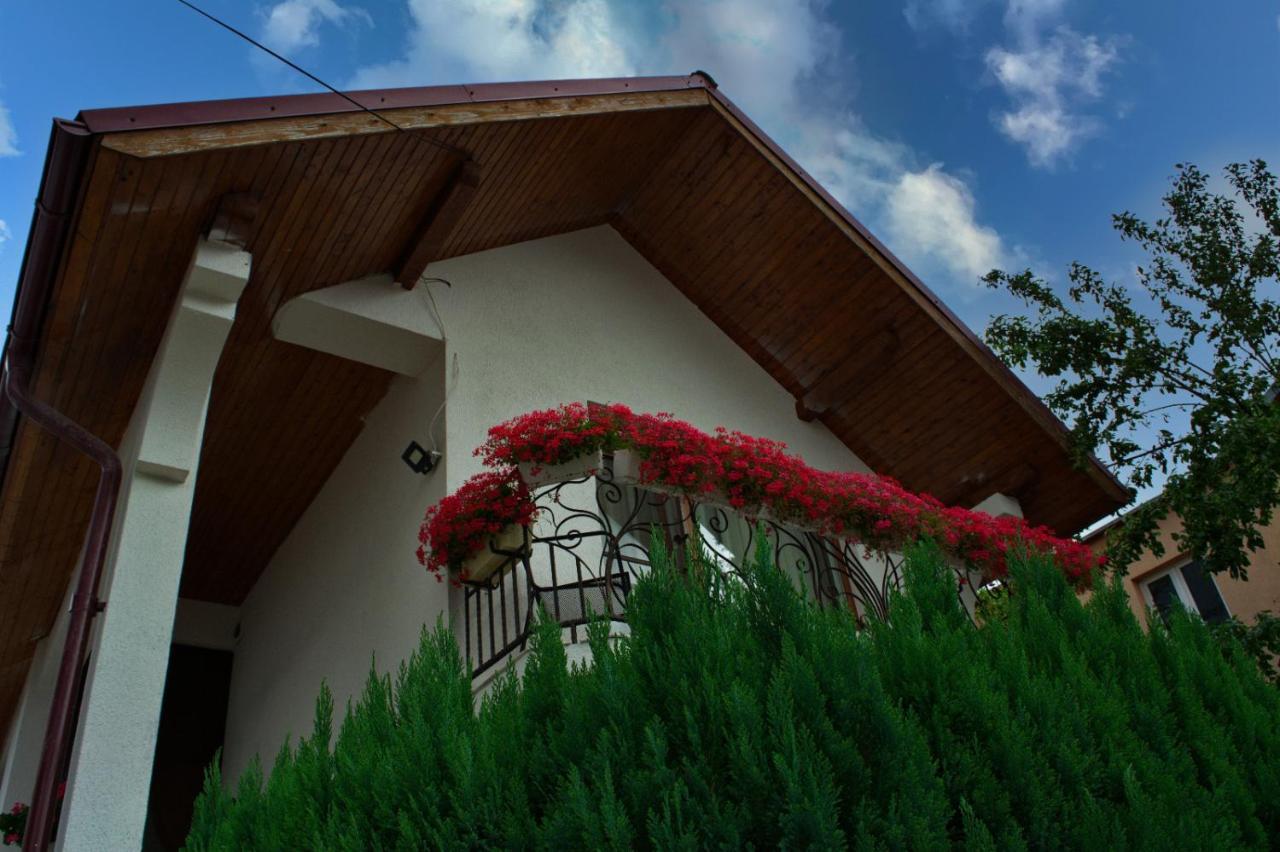 Casa Ade Villa Ocna Şugatag Dış mekan fotoğraf