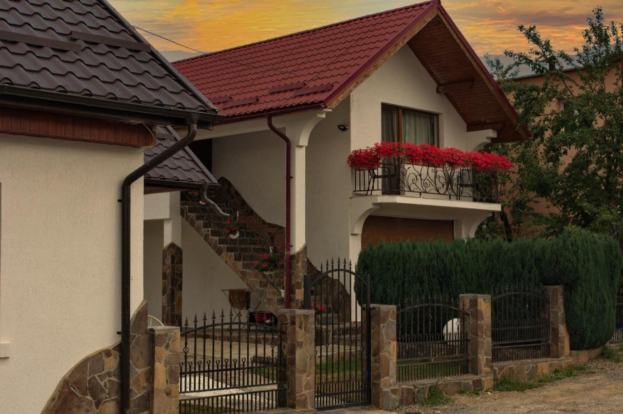 Casa Ade Villa Ocna Şugatag Dış mekan fotoğraf