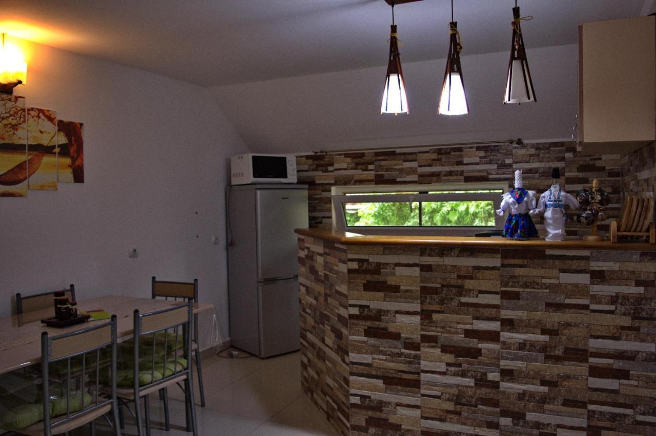 Casa Ade Villa Ocna Şugatag Dış mekan fotoğraf