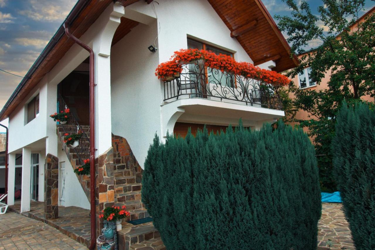 Casa Ade Villa Ocna Şugatag Dış mekan fotoğraf