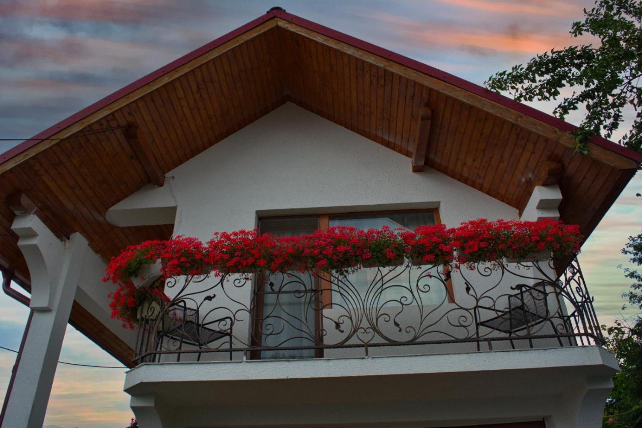 Casa Ade Villa Ocna Şugatag Dış mekan fotoğraf