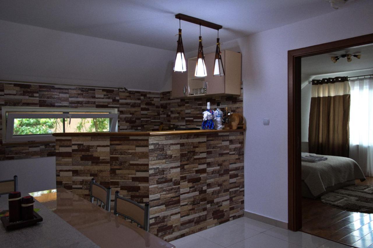 Casa Ade Villa Ocna Şugatag Dış mekan fotoğraf